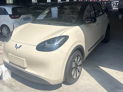 2025 Wuling Motors Wuling Bingo Model 333km Joy Edition, фото 1, лот 10367784