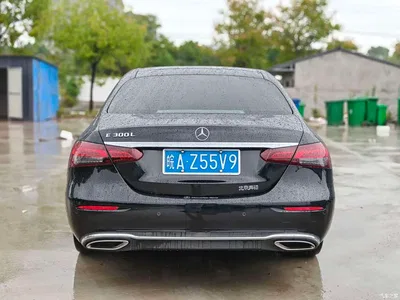 2023 Mercedes-Benz E-Class E 300 L Luxury, фото 4, лот 10766364