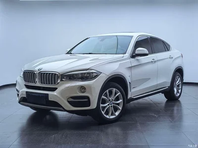 2015 BMW X6 xDrive35i Leading Type, фото 1, лот 10469195