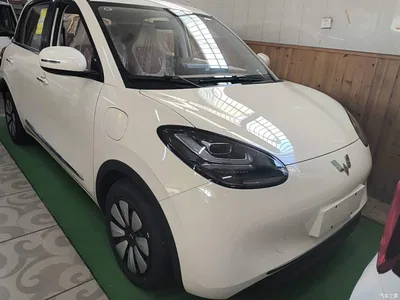 2025 Wuling Motors Wuling Bingo Model 333km Joy Edition, фото 3, лот 11097834