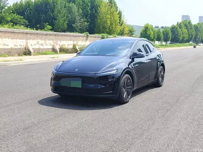 2025 Tesla Model Y Rear-Wheel Drive, фото 1, лот 11006858