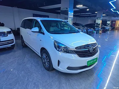2021 Buick GL8 Land Business Class 652T Luxury, фото 4, лот 10388458