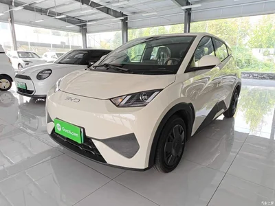 2025 BYD Seagull Smart Drive Edition 305km Vitality Version, фото 1, лот 11183308