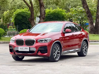 2019 BMW X4 xDrive25i M Off-Road Package, фото 1, лот 11558303