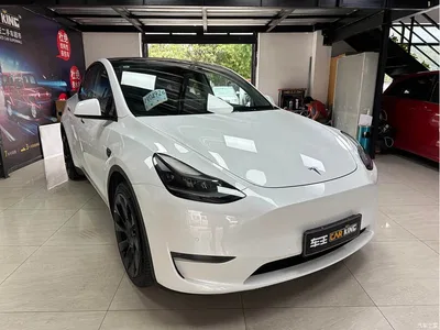 2021 Tesla Model Y Model Long Range AWD, фото 3, лот 10401628