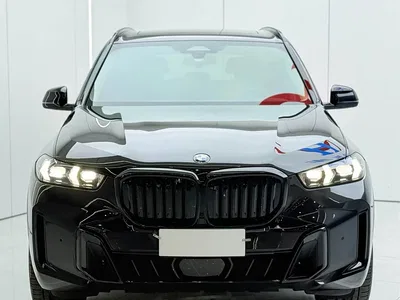 2025 BMW X5 Model xDrive 30Li Exclusive M Sport Blackout Package, фото 3, лот 11227534