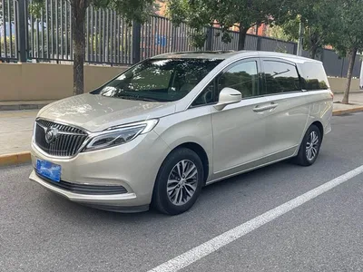2017 Buick GL8 ES 28T Flagship China V, фото 1, лот 10888403