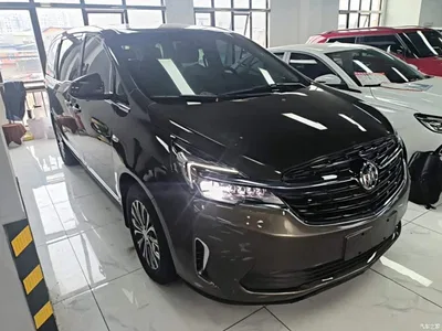 2021 Buick GL8 Land Business Class 652T Smart Luxury, фото 4, лот 11066983