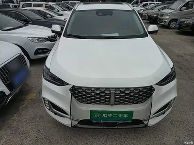 2020 WEY VV6 2.0T 2WD Collie Intelligent Travel+, фото 3, лот 10889619