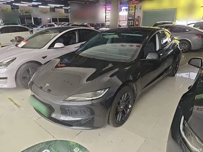 2025 Tesla Model 3 Model Rear-Wheel Drive Edition, фото 1, лот 10370262