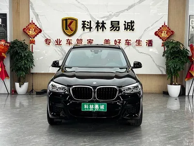 2021 BMW X3 xDrive30i Leading M Sport Package, фото 2, лот 10423704