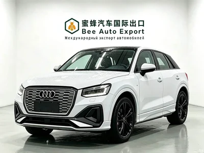 2022 Audi Q2L e-tron Pure Electric Intelligent, фото 1, лот 11437391