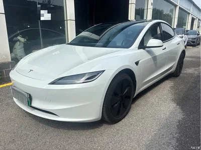 2025 Tesla Model 3 Model Rear-Wheel Drive Edition, фото 1, лот 11134166