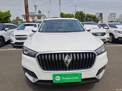 2017 Borgward BX5 Model 20TGDI Automatic 2WD Vanguard Type, фото 3, лот 10390876