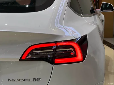 2020 Tesla Model 3 Standard Range Rear-Wheel Drive Upgrade, фото 4, лот 10403925