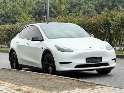 2023 Tesla Model Y Rear-Wheel Drive Edition, фото 3, лот 10887211