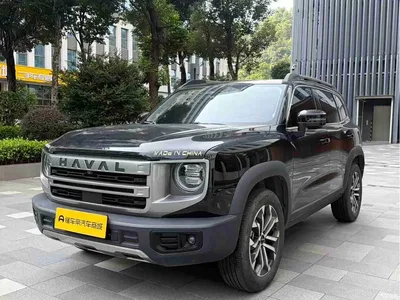 2024 Haval Big Dog 1.5T DCT Border Collie Edition, фото 1, лот 10956470