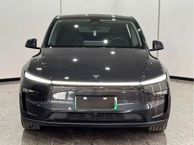 2025 Tesla Model Y Rear-Wheel Drive, фото 2, лот 11198072