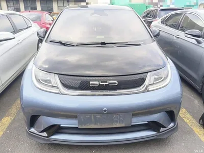 2023 BYD Dolphin 401km Knight Edition, фото 3, лот 10389764
