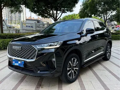 2023 Haval H6 National Trend Edition 1.5T Automatic Champion, фото 1, лот 10301242