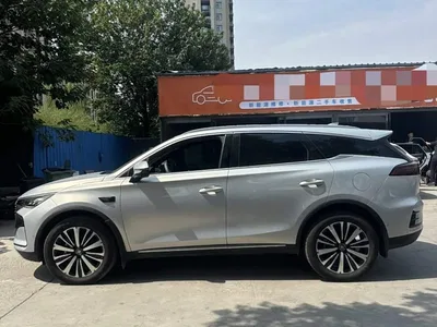 2026 BYD Tang New Energy DM-i 115KM Premium, фото 3, лот 10435171