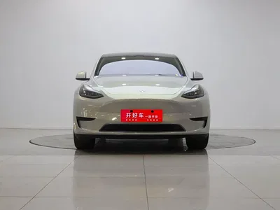 2023 Tesla Model Y Rear-Wheel Drive Edition, фото 2, лот 10391347