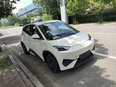 2025 BYD Seagull Smart Drive Edition 305km Vitality Version, фото 4, лот 10262855
