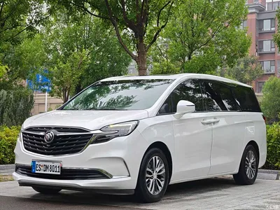 2020 Buick GL8 Model ES Landglory 653T Comfort, фото 3, лот 11565802