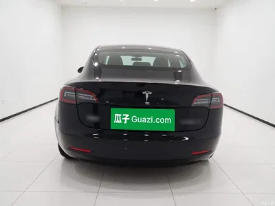 2020 Tesla Model 3 Facelift Standard Range RWD Upgrade, фото 3, лот 11194887