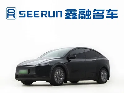 2025 Tesla Model Y L, фото 3, лот 11183755