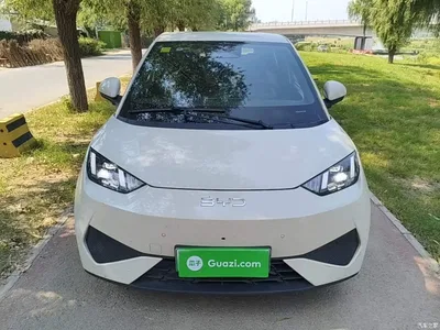 2025 BYD Seagull Smart Drive Edition 305km Freedom Version, фото 3, лот 10441045