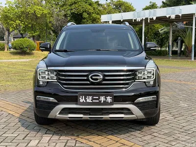 2017 GAC Trumpchi Trumpchi GS8 320T 2WD Luxury Smart Connect (7-seater), фото 2, лот 10685010