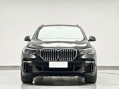 2022 BMW X5 Facelift xDrive 40Li M Sport Package, фото 2, лот 10408434