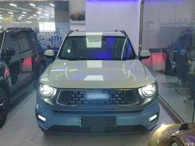 2023 Haval Second-Generation Big Dog New Energy DHT-PHEV 105km Trendy Electric Edition Plus, фото 3, лот 11148540