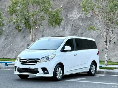 2019 SAIC Maxus Maxus G10 PLUS 2.0T Automatic Elite Edition China V, фото 1, лот 11162354
