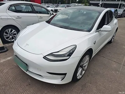 2020 Tesla Model 3 Standard Range Rear-Wheel Drive Upgrade, фото 1, лот 10334398