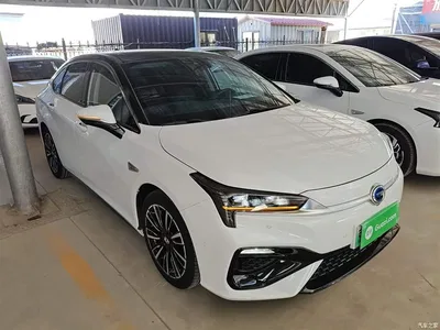 2019 Aion S Mei Max 630, фото 4, лот 10241092