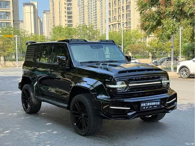 2023 Tank 300 Off-Road Edition 2.0T Conqueror, фото 3, лот 10344160