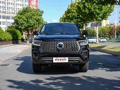 2023 Great Wall Pao 2.0T Commercial Auto Diesel 2WD Elite Long Box GW4D20M, фото 2, лот 10364265