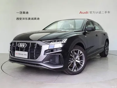 2023 Audi Q8 55 TFSI Luxury Sport, фото 1, лот 10441724