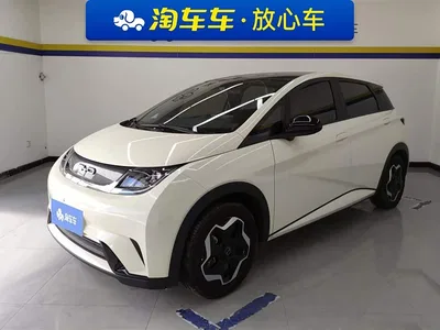 2021 BYD Dolphin Model 405km Fashion Edition, фото 1, лот 10252521