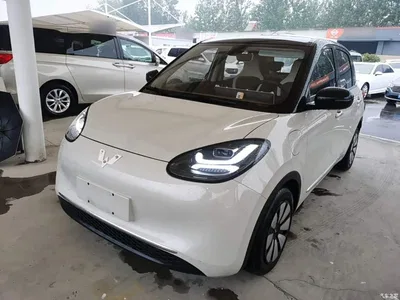 2023 Wuling Motors Wuling Bingo Model 333km Telepathic Connect+ Version, фото 1, лот 11135880