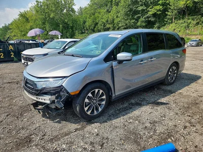 2024 HONDA ODYSSEY EXL, фото 1, лот 10698473