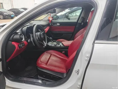 2017 Alfa Romeo Giulia 2.0T 200HP Luxury Edition, фото 4, лот 10404950