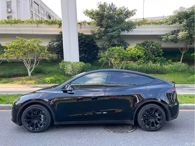 2022 Tesla Model Y Rear-Wheel Drive Version, фото 4, лот 10450228