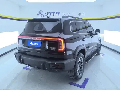 2024 Haval Big Dog 2.0T DCT Chinese Rural Dog Edition, фото 3, лот 10397106