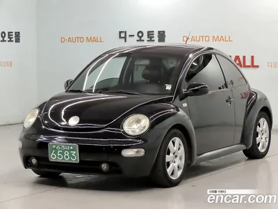 2002 Volkswagen Beatle Deluxe 2.0, фото 1, лот 10195714