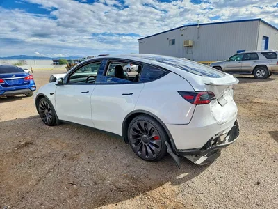 2023 TESLA MODEL Y, фото 2, лот 11209640