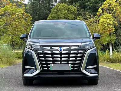 2022 Denza D9 DM-i 970 AWD Flagship, фото 2, лот 10346609