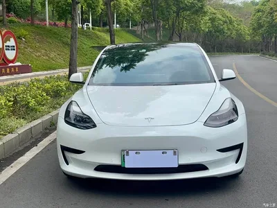 2021 Tesla Model 3 Standard Range Rear-Wheel Drive Upgrade, фото 2, лот 11361265